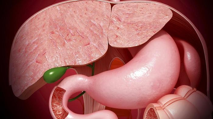 gallbladder image